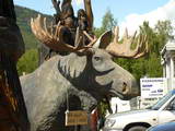  A Moose??  Perhaps we see the real one soon.